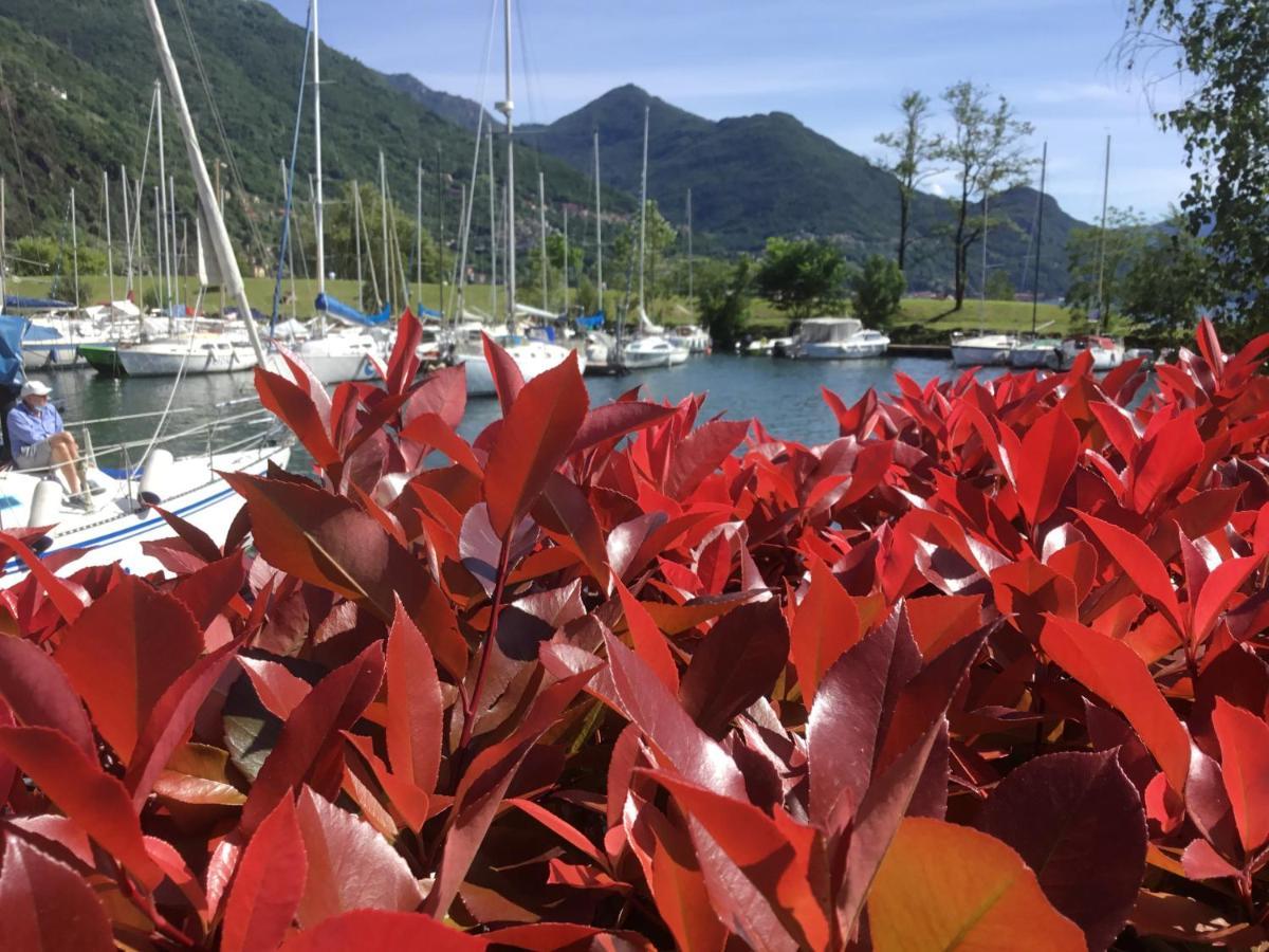 Comolakehome A Due Passi Dal Lago Dervio Exterior foto