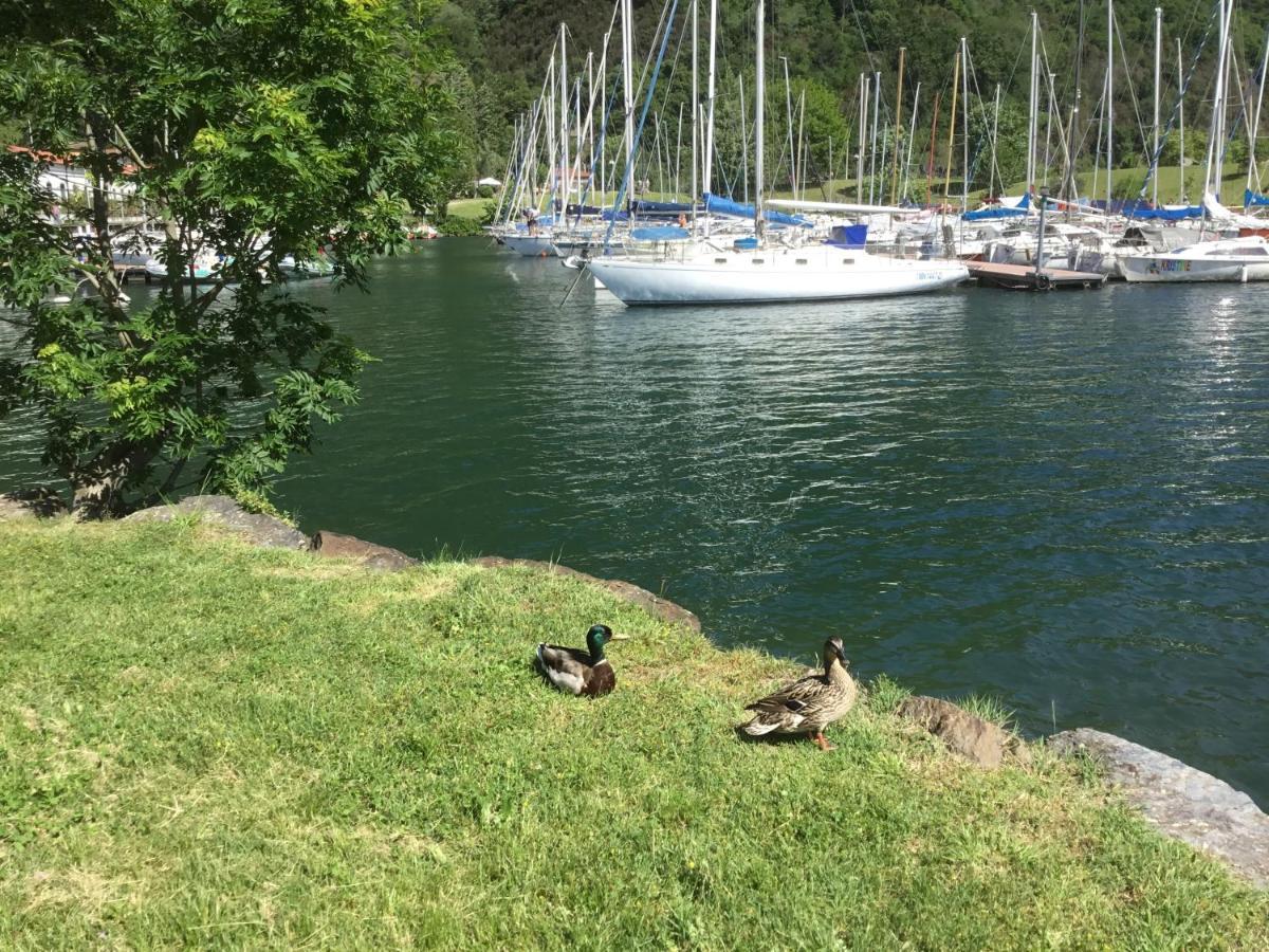 Comolakehome A Due Passi Dal Lago Dervio Exterior foto